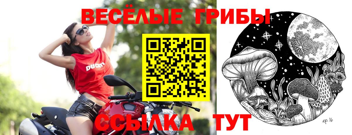 Галлюциногенные грибы Magic Shrooms Гуково
